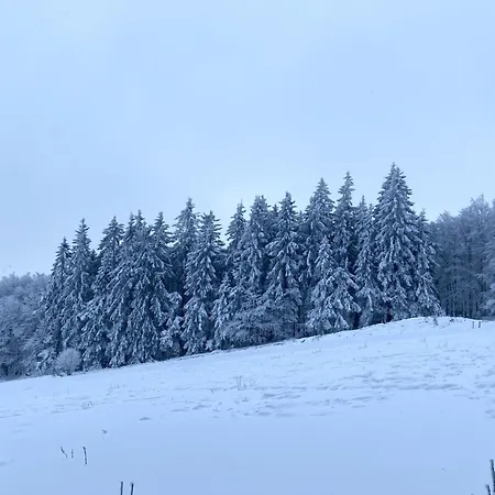 Le Du לה הוואלד