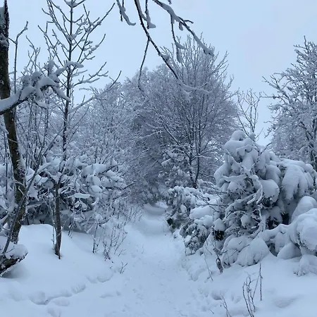 Le Du * לה הוואלד